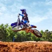 Picture of 2023 Yamaha YZ250 