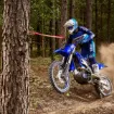 Picture of 2022 Yamaha YZ450FX 