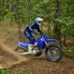 Picture of 2022 Yamaha YZ450FX 