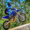 Picture of 2022 Yamaha WR450F 