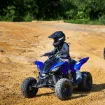 Picture of 2022 Yamaha Raptor 90 