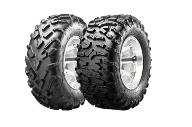 Picture of MAXXIS BIG HORN