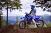 Picture of 2025 Yamaha YZ250