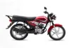 Picture of TVS HLX 125 Refresh