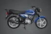 Picture of TVS HLX 125 Refresh