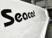 Picture of 2024 Seacat 565 FC with Twin Yamaha 100HP 4-Strokes