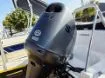 Picture of 2006 Sunseeker 18 with a F140 Suzuki outboard motor