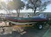 Picture of 2005 Infanta 5.2 with a F100 Suzuki motor