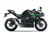 Picture of 2025 Kawasaki NINJA 500