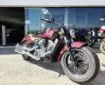 Picture of 2024 Indian Scout 1200 Demo