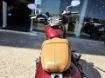 Picture of 2024 Indian Scout 1200 Demo