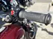 Picture of 2024 Indian Scout 1200 Demo