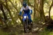 Picture of 2025 Yamaha WR450F