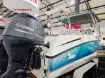 Picture of 2022 Sea Cat 636 FC powered by 2 Yamaha F130's