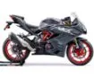 Picture of 2026 TVS Apache RR 310