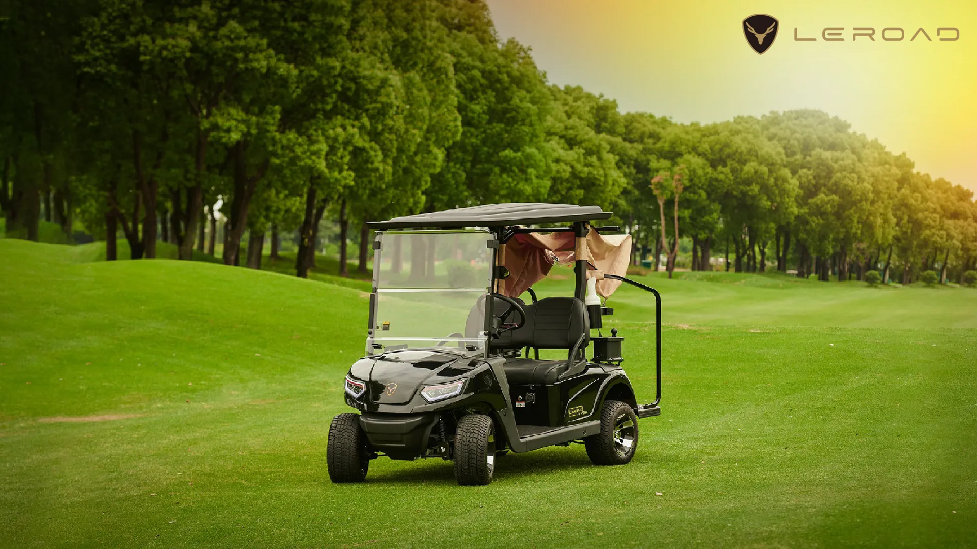 Picture for category Shop LEROAD Golf Cars