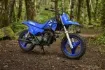 Picture of 2026 Yamaha PW50