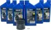 Picture of Yamaha F200-F250 10W-30 Oil Change Kit